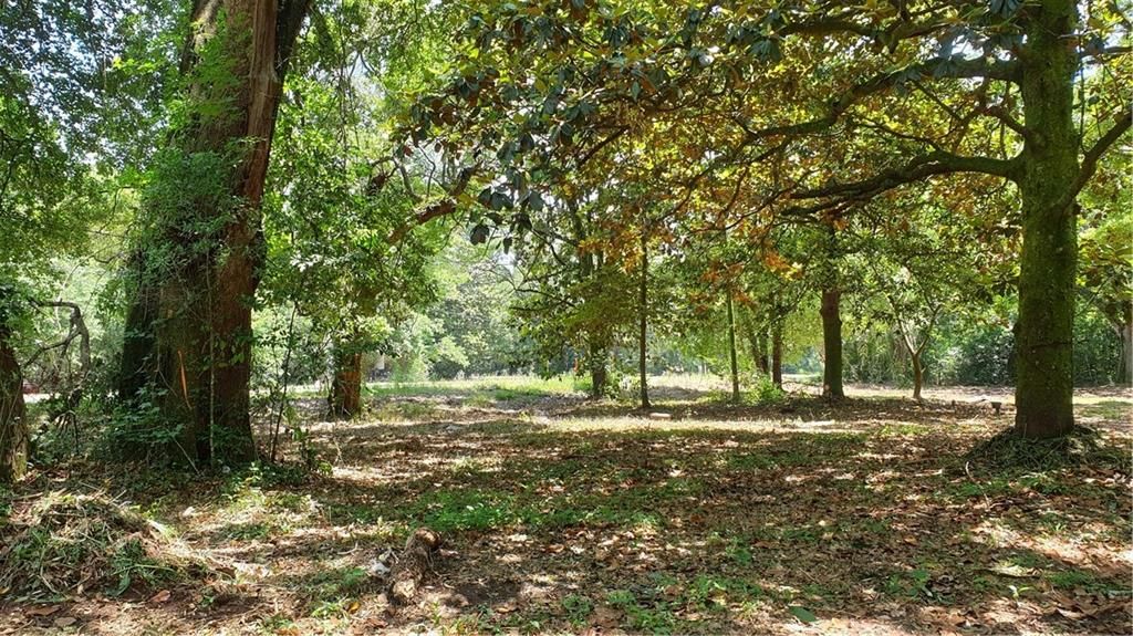 5377 Moffett Road, Mobile, AL 36618 — photo 2