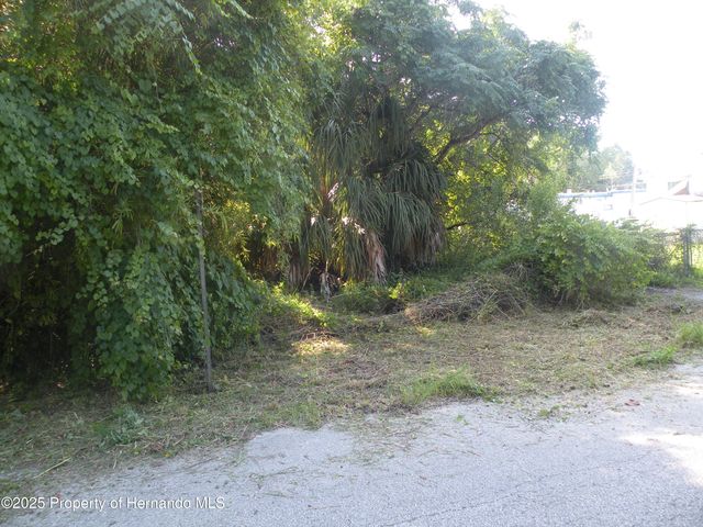 11540 Altoona Avenue, New Port Richey, FL 34654