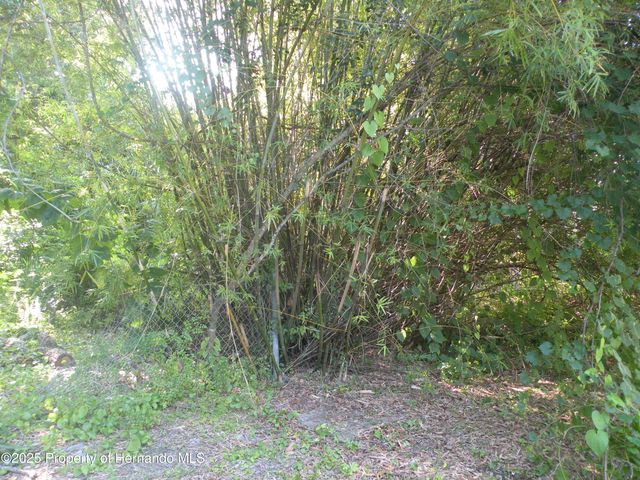 11540 Altoona Avenue, New Port Richey, FL 34654