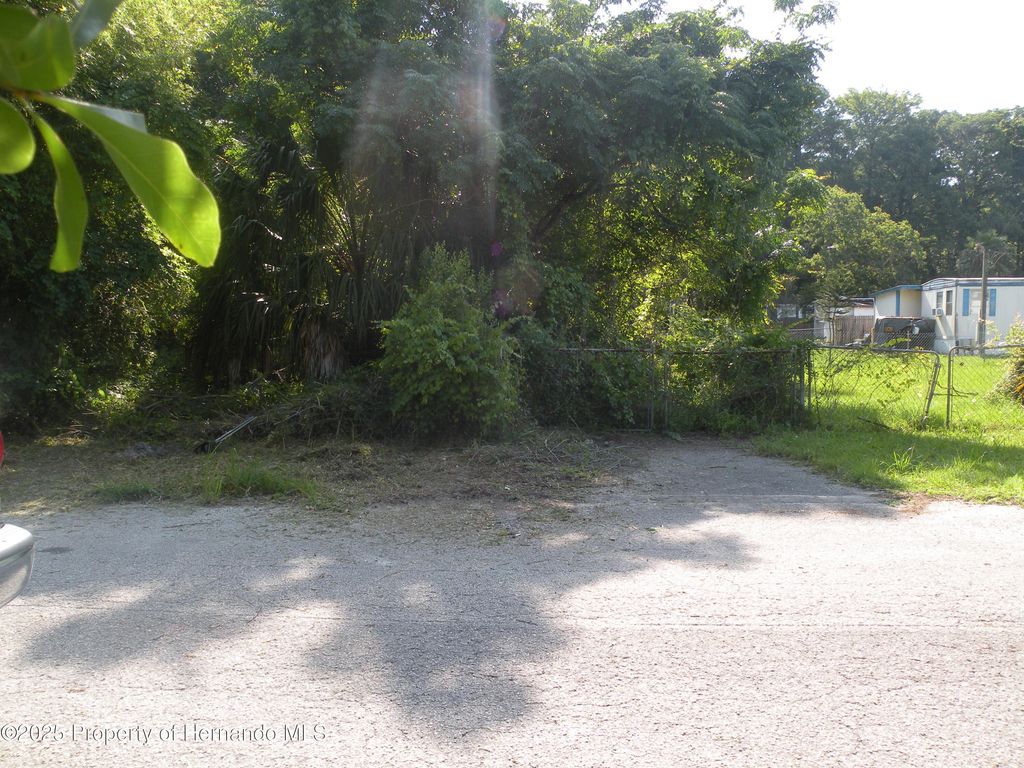11540 Altoona Avenue, New Port Richey, FL 34654