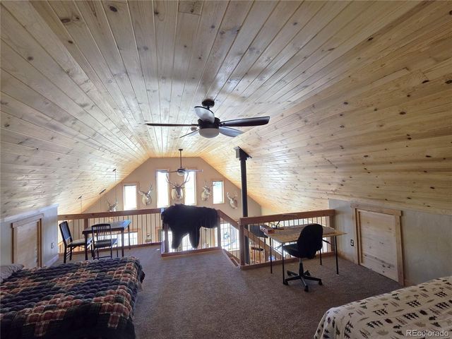 1007 Hereford Dr, Hartsel, CO 80449
