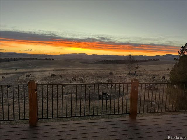 1007 Hereford Dr, Hartsel, CO 80449