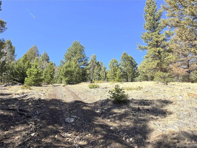 1007 Hereford Dr, Hartsel, CO 80449