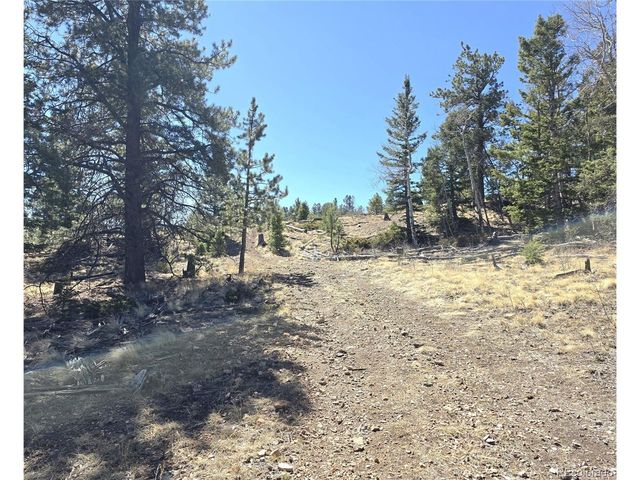 1007 Hereford Dr, Hartsel, CO 80449