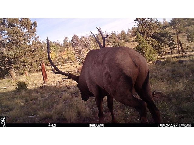 1007 Hereford Dr, Hartsel, CO 80449