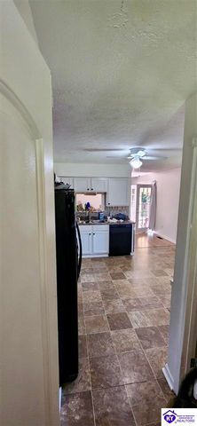 630 McCrary Road, Guston, KY 40142