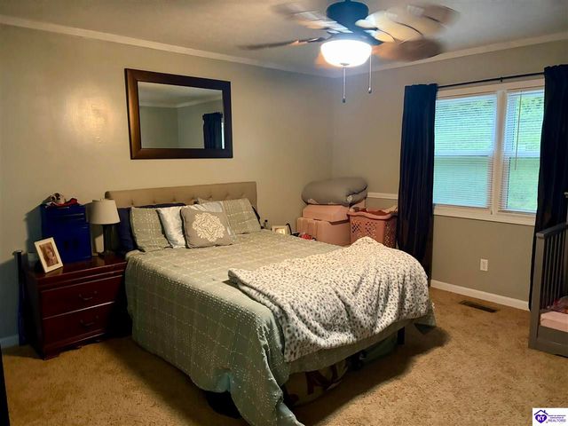 630 McCrary Road, Guston, KY 40142