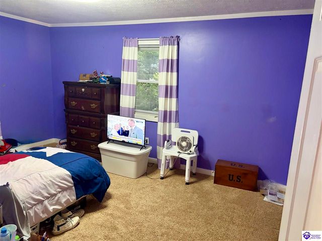 630 McCrary Road, Guston, KY 40142