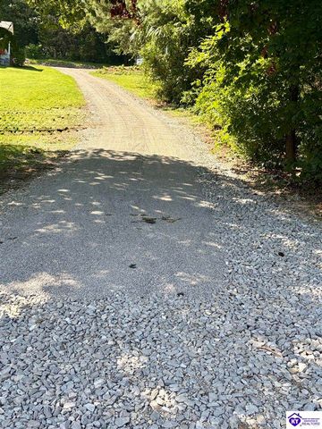 630 McCrary Road, Guston, KY 40142