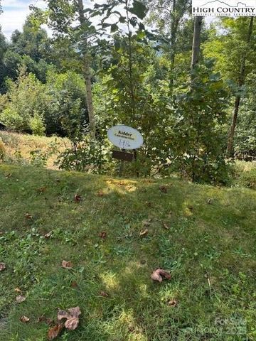 TBD Heritage Ridge Road H8, Elk Park, NC 28622