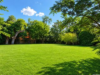 314 PINCKNEY ST, San Antonio, TX 78209