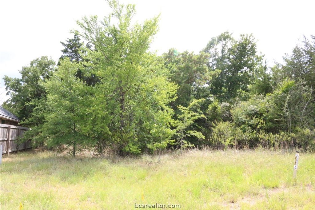 2008 R A Galindo Boulevard, Bryan, TX 77807 — photo 2