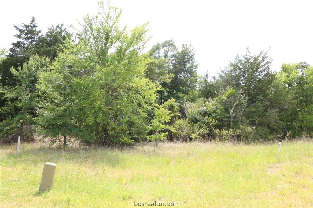 2008 R A Galindo Boulevard, Bryan, TX 77807 — photo 4