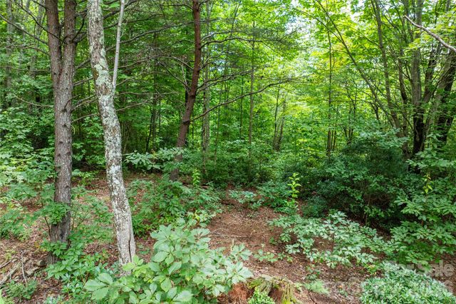 5.5 Acres Dogwood Way 840a, Lenoir, NC 28645