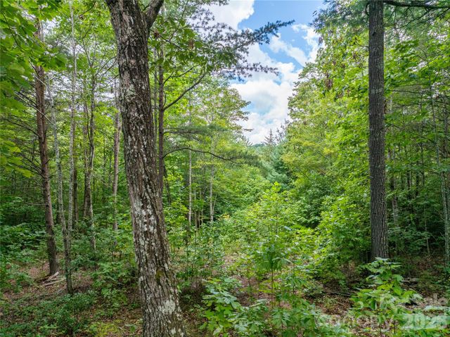 5.5 Acres Dogwood Way 840a, Lenoir, NC 28645