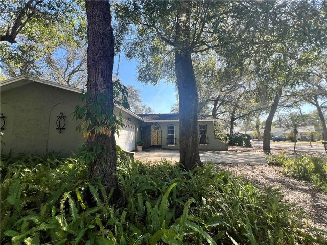 9715 HIDDEN OAKS CIRCLE, Tampa, FL 33612