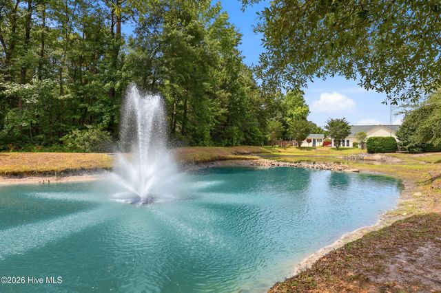 4124 Pine Brush Drive, Leland, NC 28451