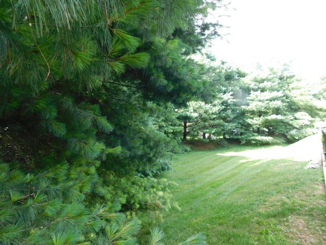 1182 Long Hollow Pike Apt G4, Gallatin, TN 37066