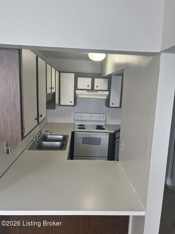 1009 S 3rd St 302, Louisville, KY 40203