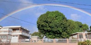 181 RD Int. Km 1.7 Bo. Ma PARC. 1, Gurabo, PR 00778