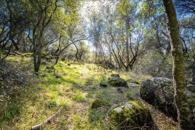 13936 Oak Ridge Rd, Penn Valley, CA 95946