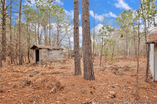 240 & 95 Burtons Lane, Cameron, NC 28326