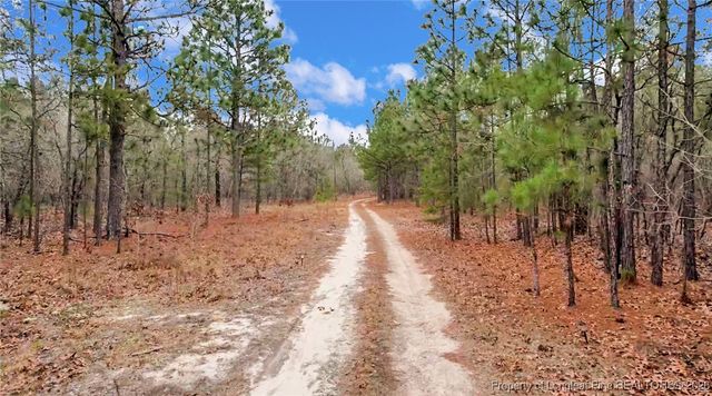 240 & 95 Burtons Lane, Cameron, NC 28326