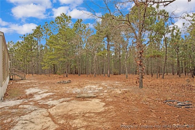 240 & 95 Burtons Lane, Cameron, NC 28326