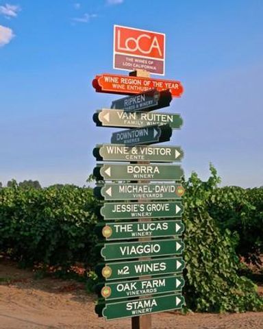 20042 N Ray Rd, Lodi, CA 95242