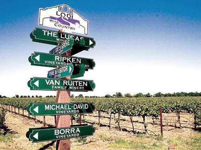 20042 N Ray Rd, Lodi, CA 95242