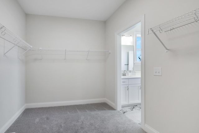 13822 Arrowhead Way, Rosemount, MN 55068