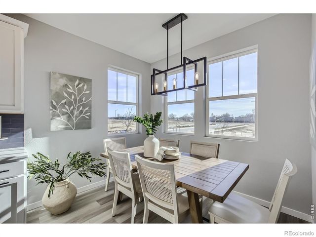 903 NETTLE Lane, Fort Collins, CO 80524