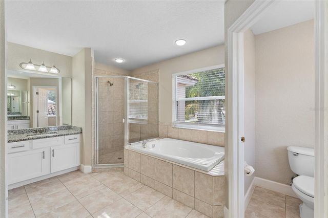 10239 GARDEN ALCOVE DRIVE, Tampa, FL 33647