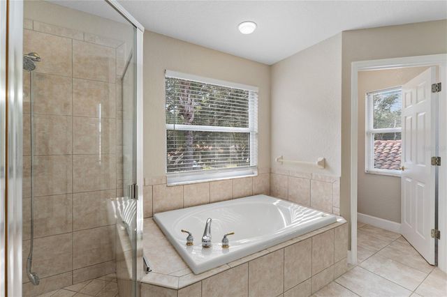 10239 GARDEN ALCOVE DRIVE, Tampa, FL 33647