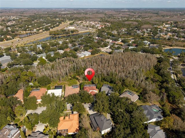 10239 GARDEN ALCOVE DRIVE, Tampa, FL 33647