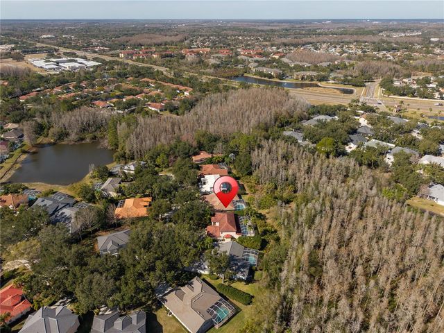 10239 GARDEN ALCOVE DRIVE, Tampa, FL 33647