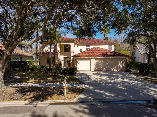 10239 GARDEN ALCOVE DRIVE, Tampa, FL 33647