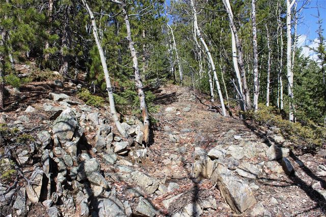 00 Spruce Street, Central City, CO 80427