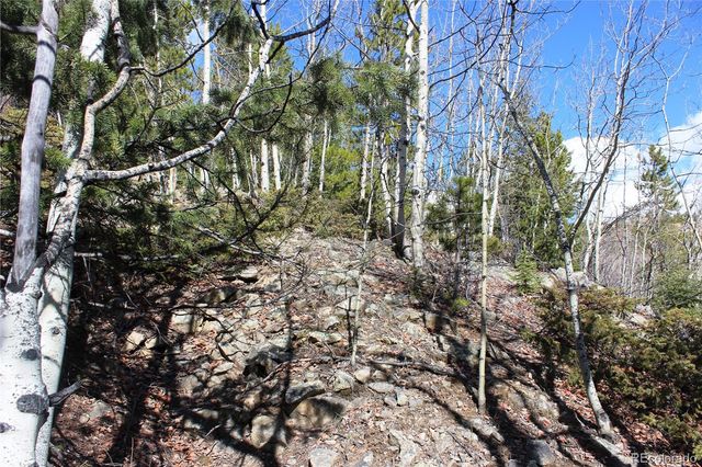 00 Spruce Street, Central City, CO 80427