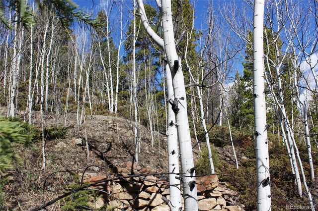 00 Spruce Street, Central City, CO 80427