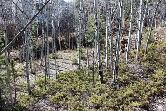 00 Spruce Street, Central City, CO 80427
