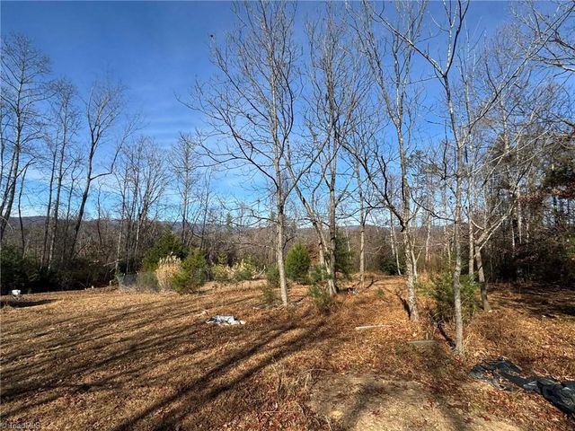 894 Traphill Mill Road, Traphill, NC 28685