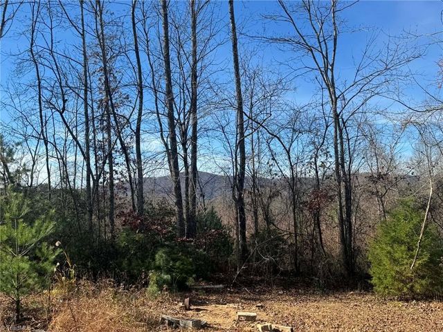 894 Traphill Mill Road, Traphill, NC 28685