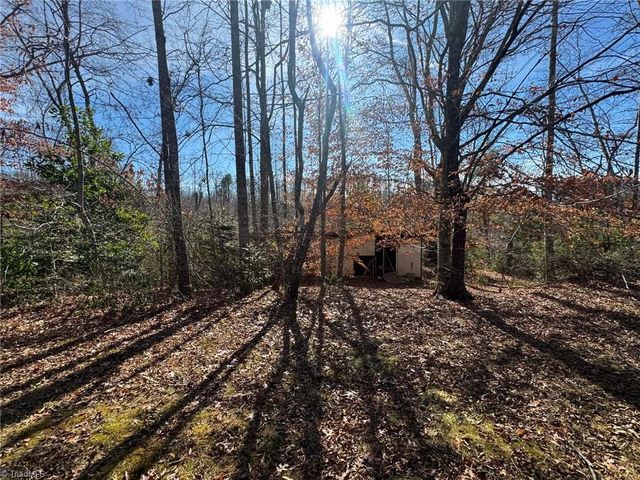 894 Traphill Mill Road, Traphill, NC 28685