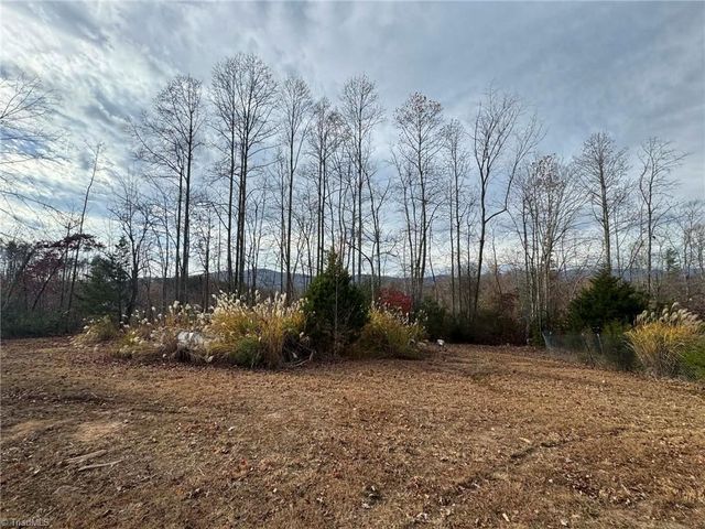 894 Traphill Mill Road, Traphill, NC 28685