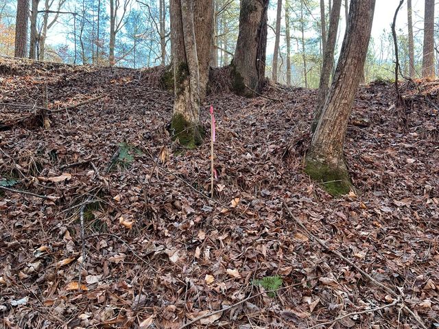 18 Lily Lane, Ellijay, GA 30540