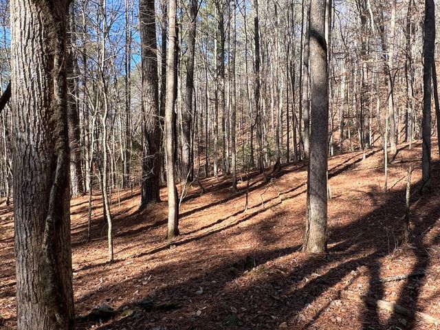 18 Lily Lane, Ellijay, GA 30540