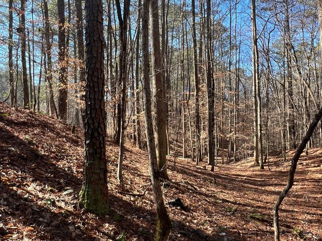 18 Lily Lane, Ellijay, GA 30540