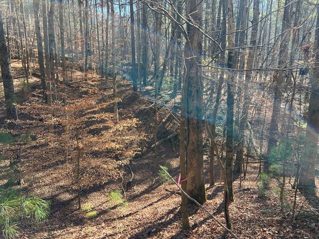 18 Lily Lane, Ellijay, GA 30540