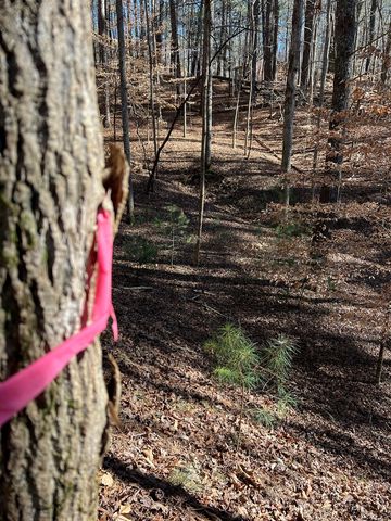 18 Lily Lane, Ellijay, GA 30540